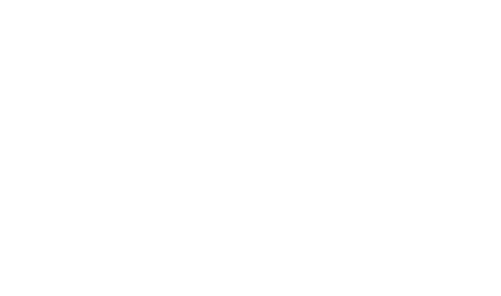 salon-de-mesilla